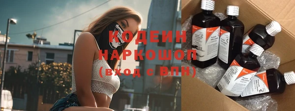 мдпв Карпинск