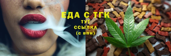 мдпв Карпинск