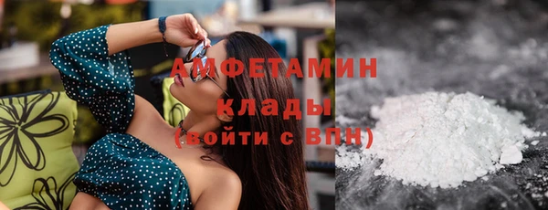 мдпв Карпинск