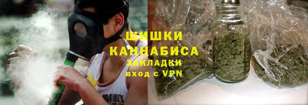 мдпв Карпинск