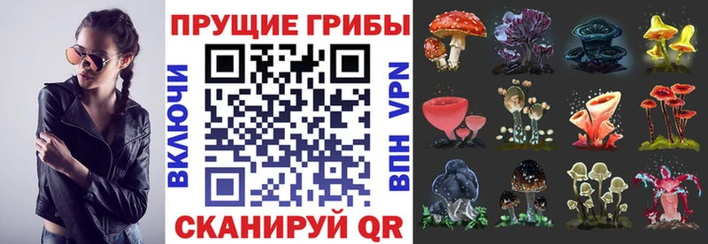Галлюциногенные грибы MAGIC MUSHROOMS  Купить где  Почеп 