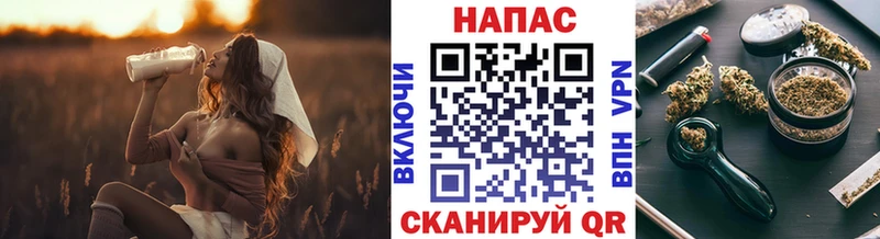 Каннабис White Widow  Купить где  Почеп 